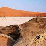 pustynia Namibia